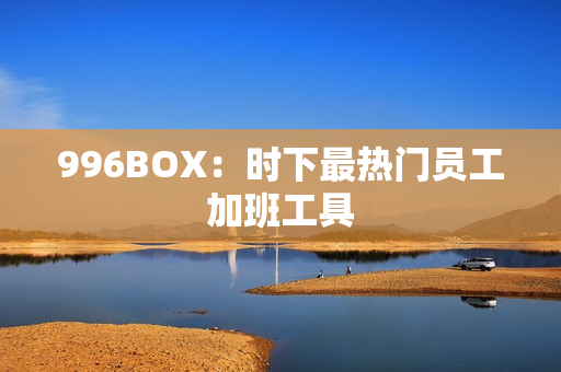 996BOX：时下最热门员工加班工具