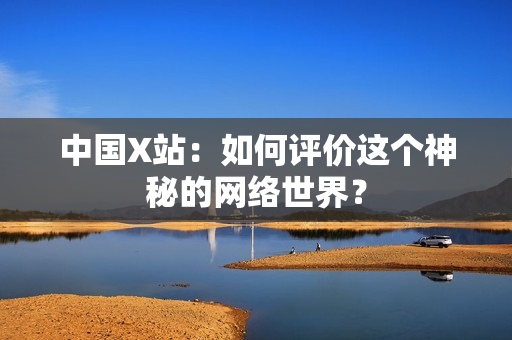 中国X站：如何评价这个神秘的网络世界？
