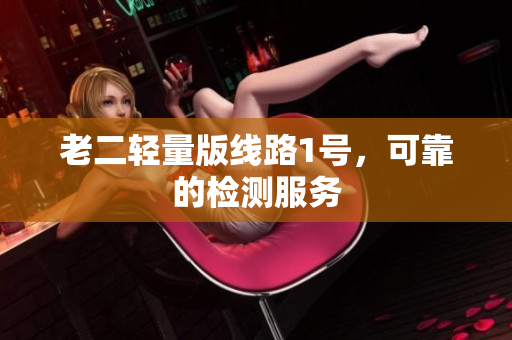 老二轻量版线路1号，可靠的检测服务
