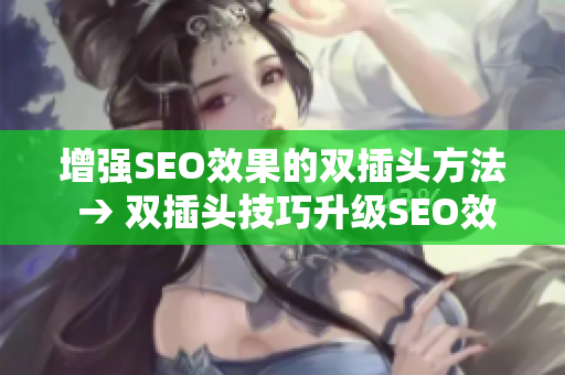 增强SEO效果的双插头方法 → 双插头技巧升级SEO效果