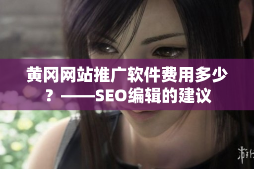 黄冈网站推广软件费用多少？——SEO编辑的建议