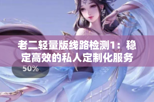 老二轻量版线路检测1：稳定高效的私人定制化服务