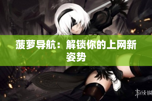 菠萝导航：解锁你的上网新姿势