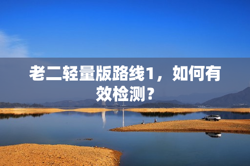 老二轻量版路线1，如何有效检测？