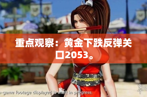 重点观察：黄金下跌反弹关口2053。