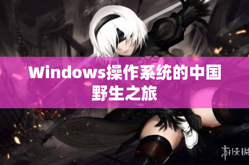 Windows操作系统的中国野生之旅