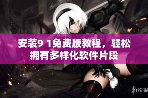 安装9 1免费版教程，轻松拥有多样化软件片段