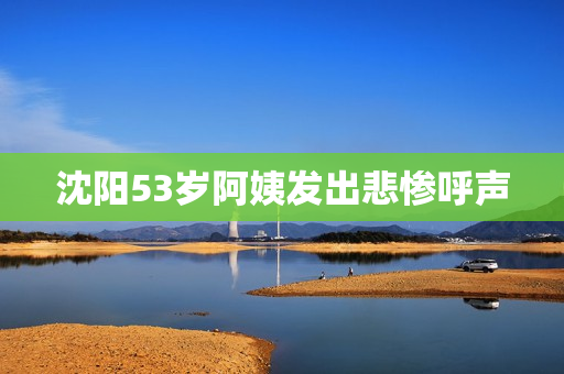 沈阳53岁阿姨发出悲惨呼声
