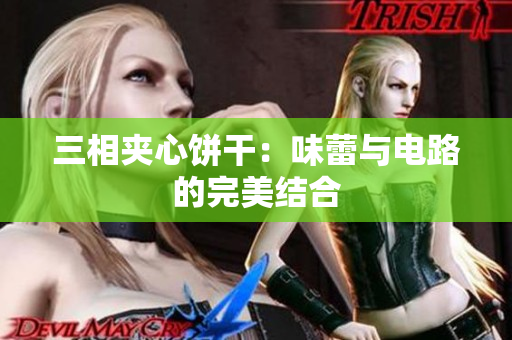 三相夹心饼干：味蕾与电路的完美结合