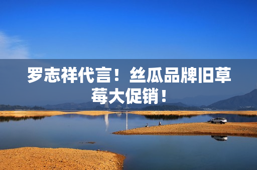 罗志祥代言！丝瓜品牌旧草莓大促销！