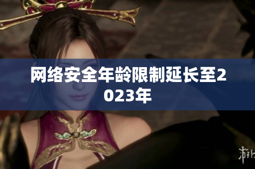 网络安全年龄限制延长至2023年