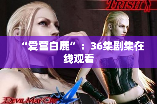 “爱营白鹿”：36集剧集在线观看