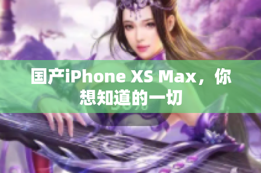 国产iPhone XS Max，你想知道的一切