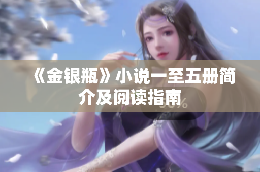 《金银瓶》小说一至五册简介及阅读指南