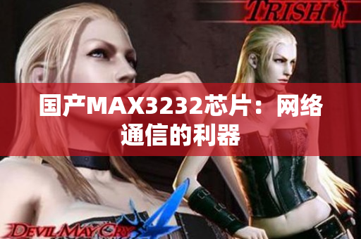 国产MAX3232芯片：网络通信的利器