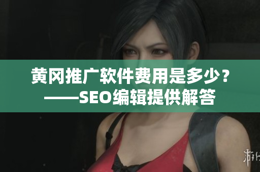 黄冈推广软件费用是多少？——SEO编辑提供解答