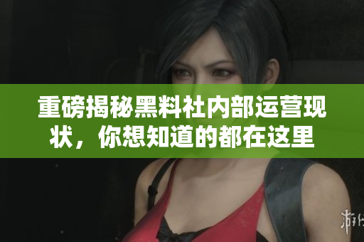 重磅揭秘黑料社内部运营现状，你想知道的都在这里