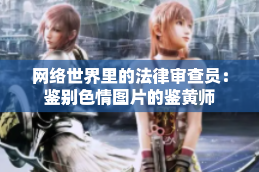 网络世界里的法律审查员：鉴别色情图片的鉴黄师