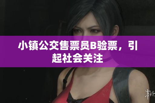 小镇公交售票员B验票，引起社会关注