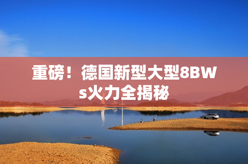 重磅！德国新型大型8BWs火力全揭秘