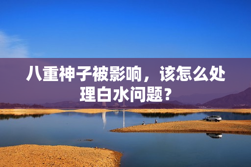 八重神子被影响，该怎么处理白水问题？