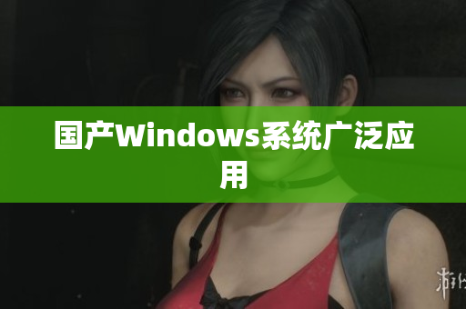 国产Windows系统广泛应用