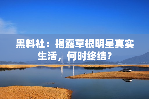 黑料社：揭露草根明星真实生活，何时终结？