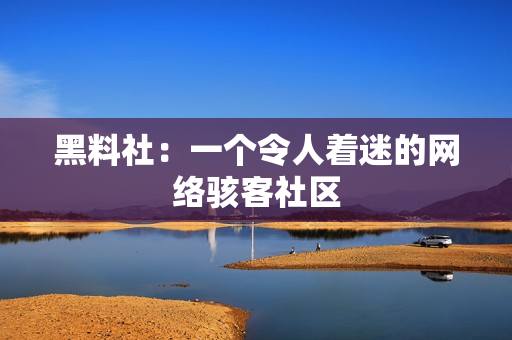 黑料社：一个令人着迷的网络骇客社区