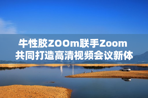 牛性胶ZOOm联手Zoom 共同打造高清视频会议新体验