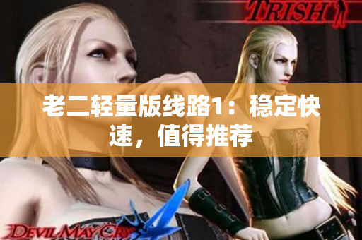 老二轻量版线路1：稳定快速，值得推荐