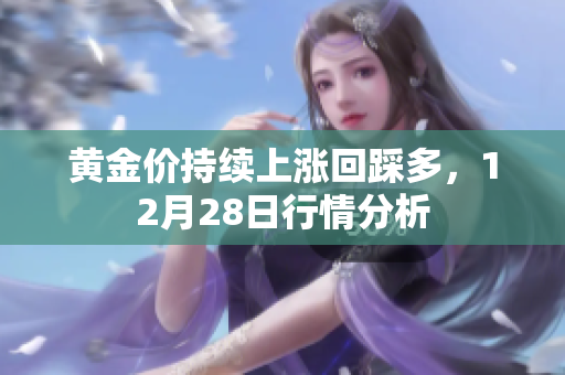 黄金价持续上涨回踩多，12月28日行情分析