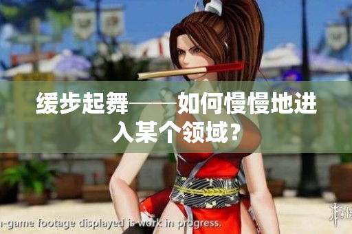 缓步起舞──如何慢慢地进入某个领域？