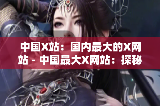 中国X站：国内最大的X网站 - 中国最大X网站：探秘其背后的秘密