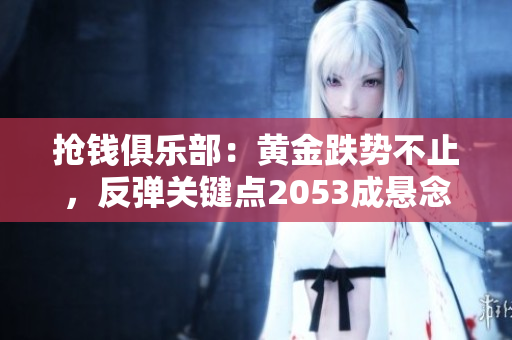 抢钱俱乐部：黄金跌势不止，反弹关键点2053成悬念