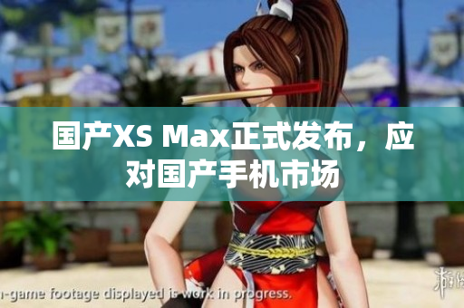 国产XS Max正式发布，应对国产手机市场