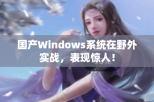 国产Windows系统在野外实战，表现惊人！