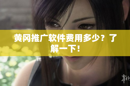 黄冈推广软件费用多少？了解一下！