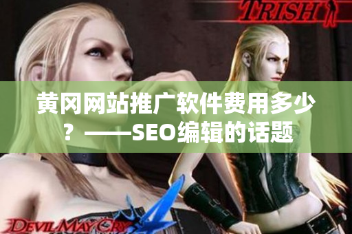 黄冈网站推广软件费用多少？——SEO编辑的话题