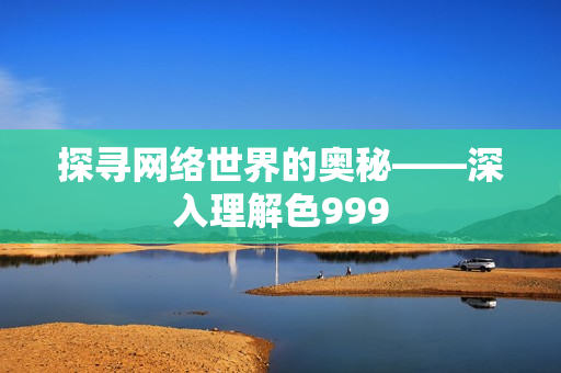 探寻网络世界的奥秘——深入理解色999
