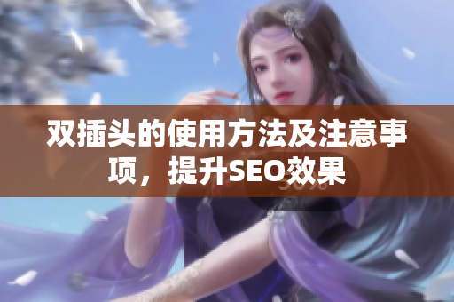双插头的使用方法及注意事项，提升SEO效果