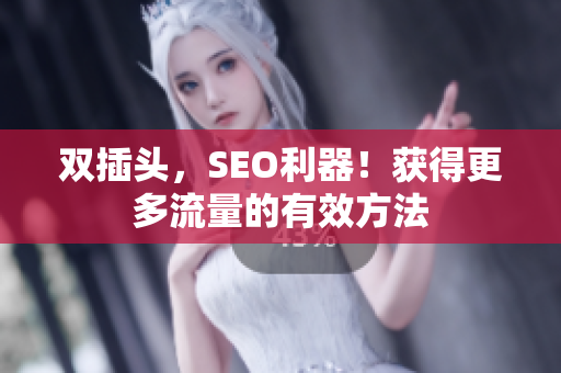 双插头，SEO利器！获得更多流量的有效方法