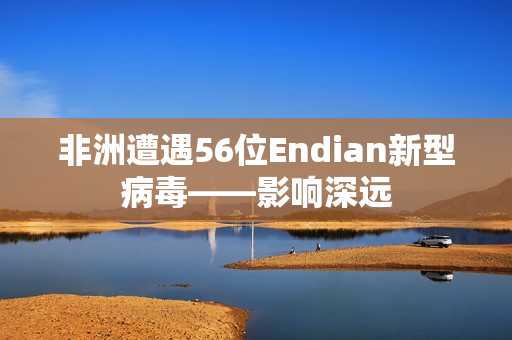 非洲遭遇56位Endian新型病毒——影响深远