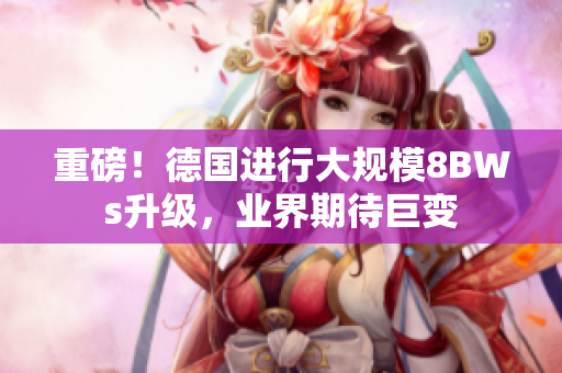 重磅！德国进行大规模8BWs升级，业界期待巨变