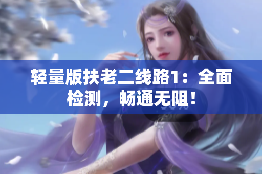 轻量版扶老二线路1：全面检测，畅通无阻！
