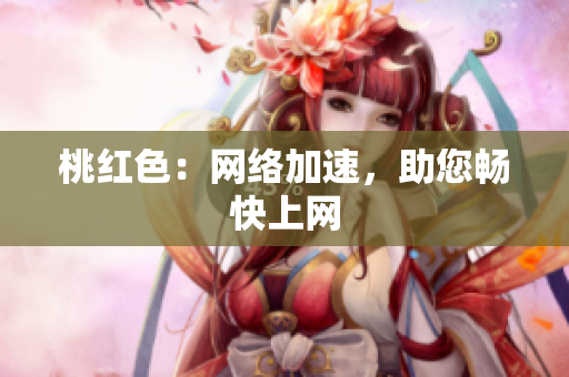 桃红色：网络加速，助您畅快上网