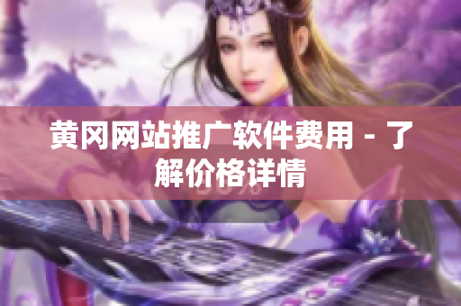 黄冈网站推广软件费用 - 了解价格详情