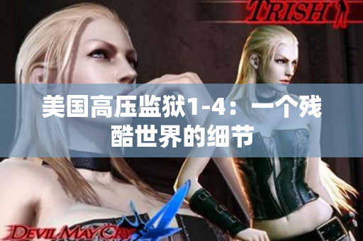 美国高压监狱1-4：一个残酷世界的细节