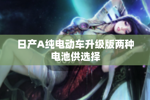 日产A纯电动车升级版两种电池供选择