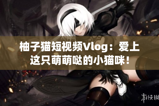 柚子猫短视频Vlog：爱上这只萌萌哒的小猫咪！