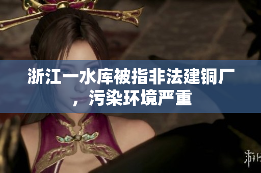 浙江一水库被指非法建铜厂，污染环境严重